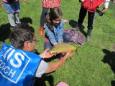 IMG 7616