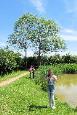 IMG 0855 - kopie (2)