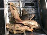 NEGATIEF VISADVIES VOOR WATEREN EGHV